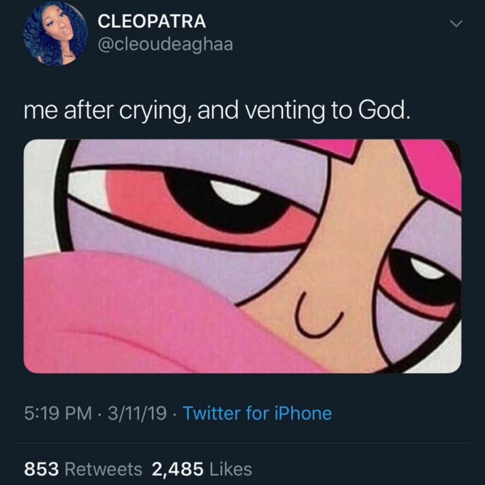 Meet your Posher, Evelyn